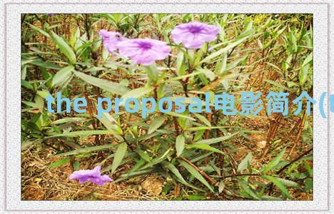 the proposal电影简介(the proposition 电影)